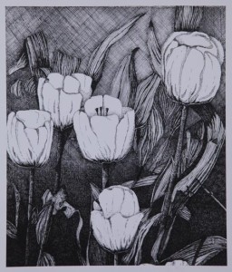 5 witte tulpen
